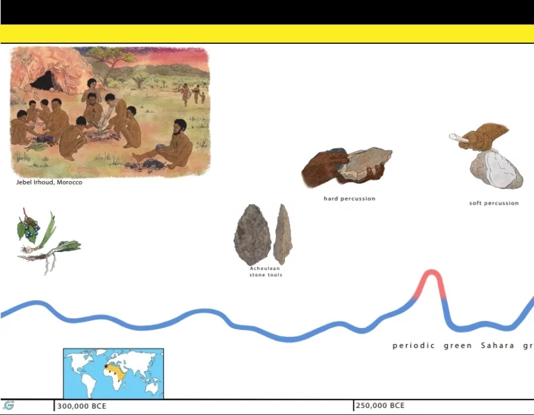 Timeline of Human Beings preview graphic