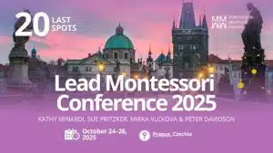 Montessori Leadership: How True Guidance Begins Within