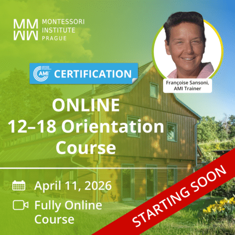 Online AMI 12-18 Orientation Course