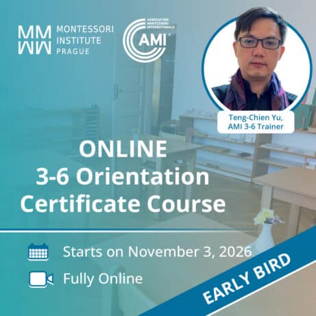 Online AMI 3-6 Orientation Course