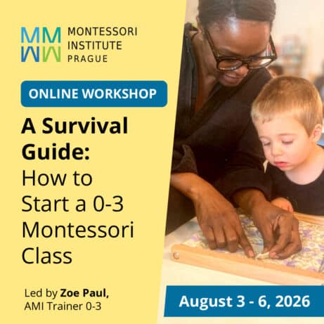A Survival Guide: How to Start a 0-3 Montessori Class