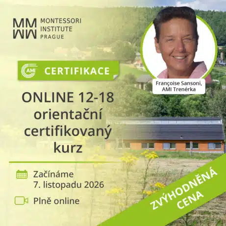 AMI Certifikovaný orientační kurz pro&nbsp;práci s adolescenty (12-18)