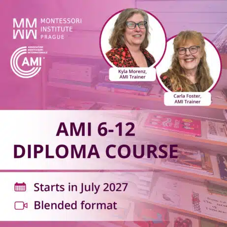 AMI Diploma Course 6-12