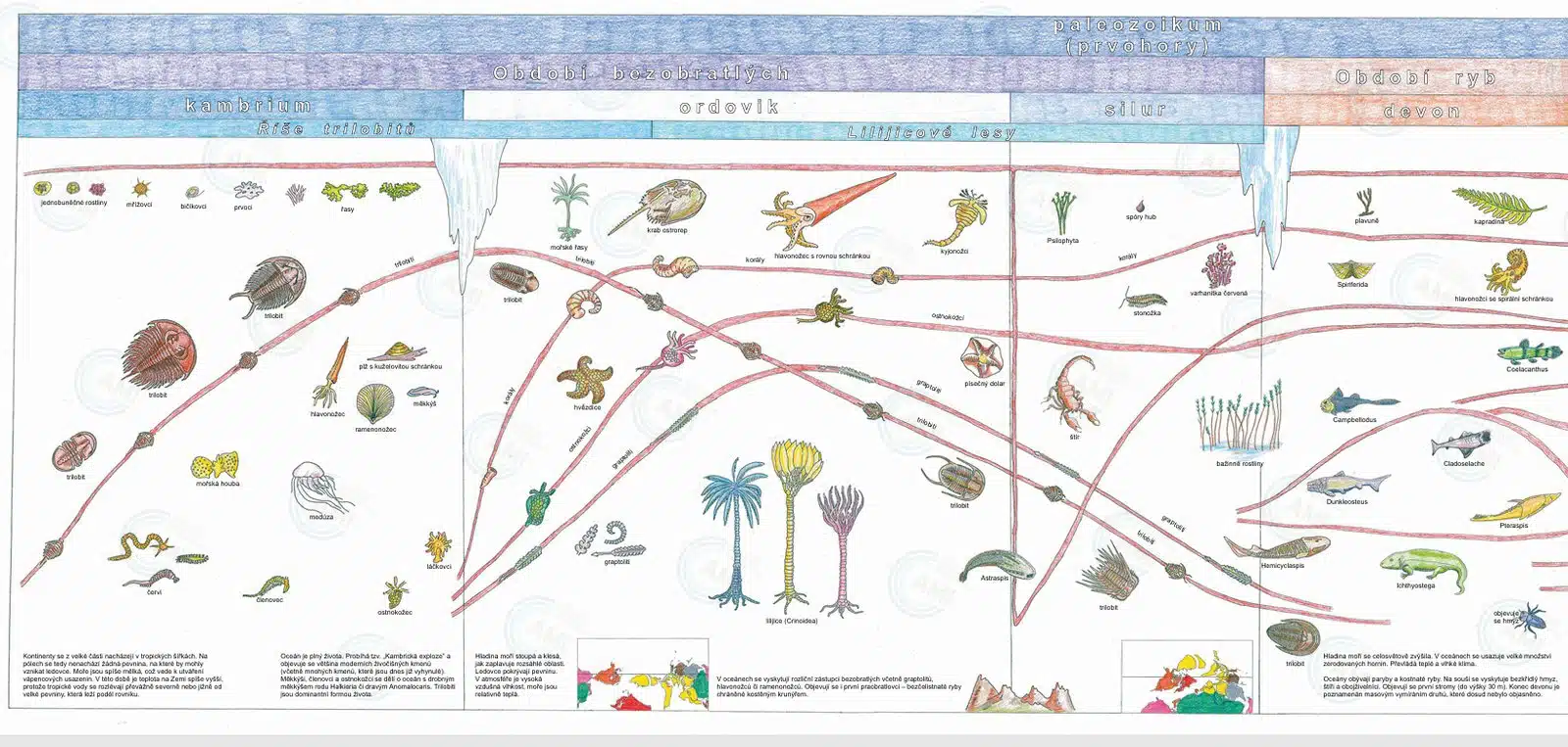 The AMI Third Timeline of Life, full view