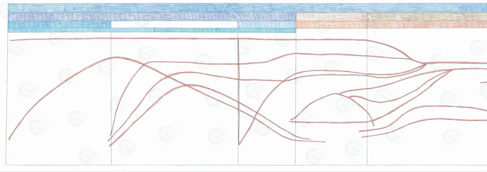 The blank AMI Fourth Timeline of Life, full view