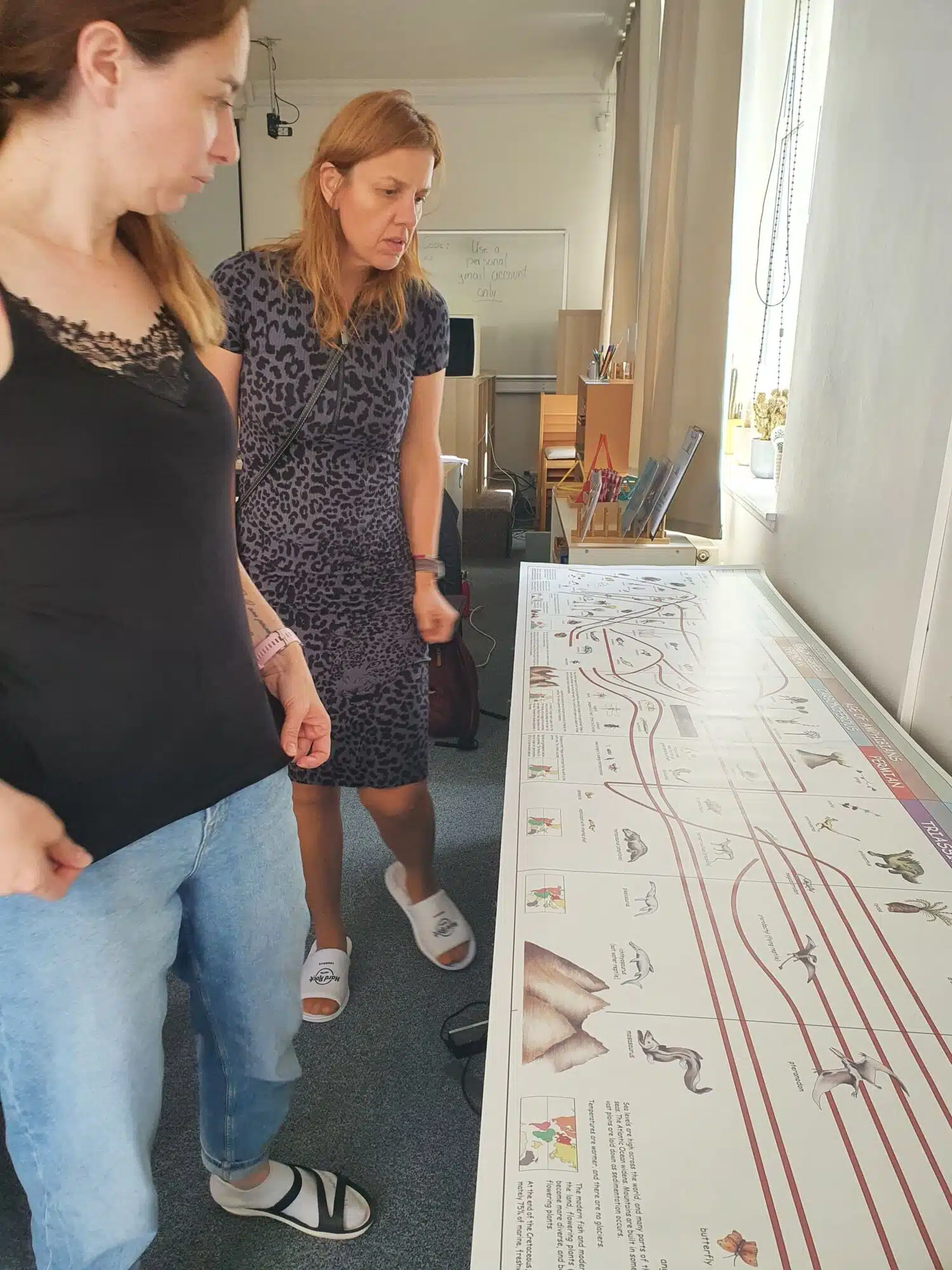Two Montessori guides studying the AMI Timeline of Life rolled out along the classroom