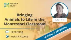 Workshop recording: Bringing Animals to Life in the Montessori Classroom with AMI trainer Madlena Ulrich