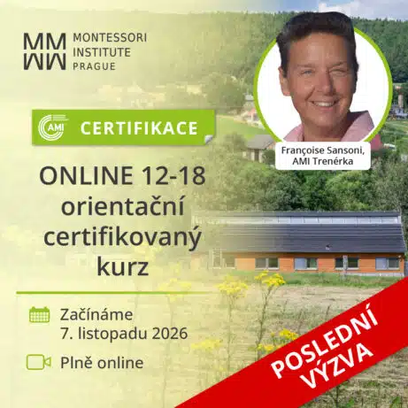 AMI Certifikovaný orientační kurz pro&nbsp;práci s&nbsp;adolescenty (12-18)