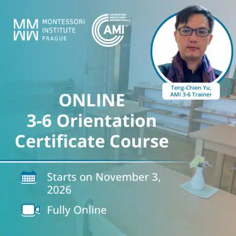 Online AMI 3-6 Orientation Course