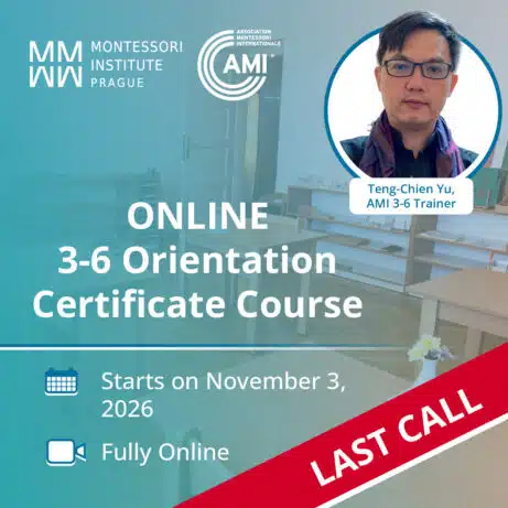 Online AMI 3-6 Orientation Course