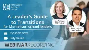 A Leader's Guide to Transitions, webinar recording with Sue Pritzker and Eder Cuevas